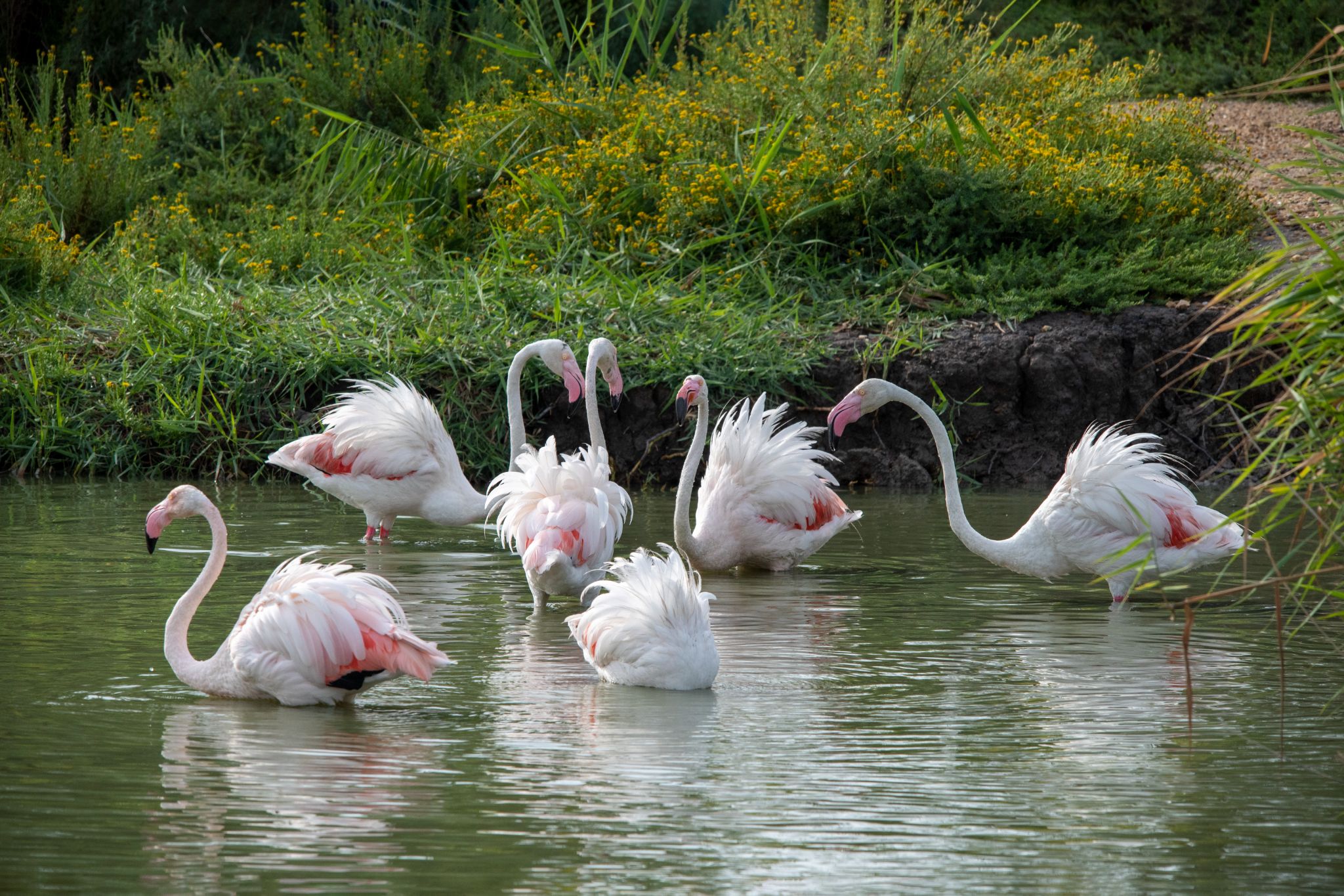 Conciliabule 12X18 DSC 1771